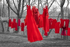 Red Dresses for MMIWG