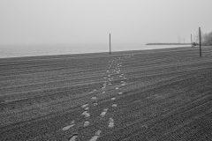 Foggy Morning Lakeview Park