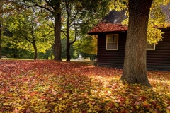 Autumn at Camp Samac