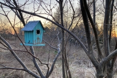 Rustic Birdhouse